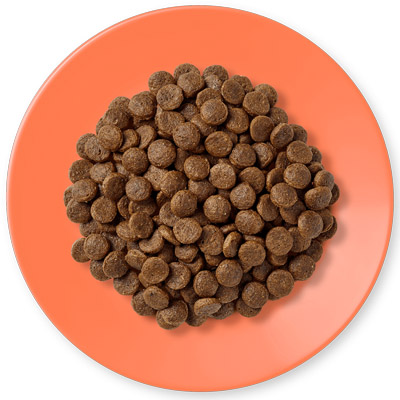 Applaws Adult Chicken with salmon granule foto